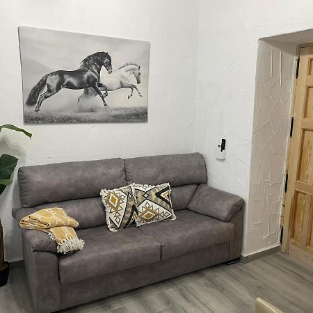 Apartament El Tablao Jerez de la Frontera Zewnętrze zdjęcie