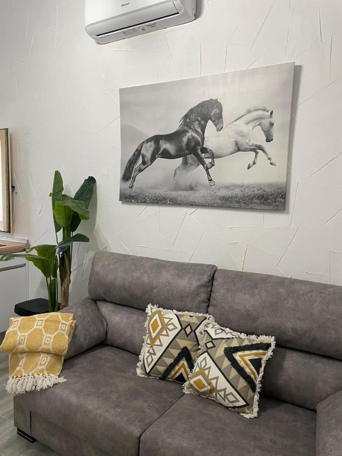 Apartament El Tablao Jerez de la Frontera Zewnętrze zdjęcie