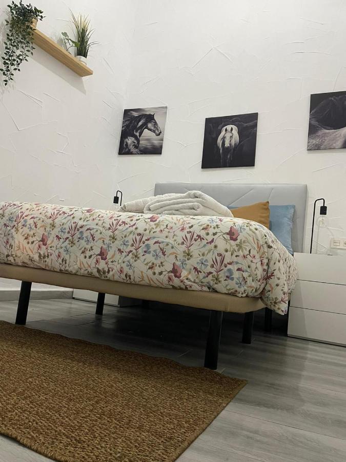 Apartament El Tablao Jerez de la Frontera Zewnętrze zdjęcie