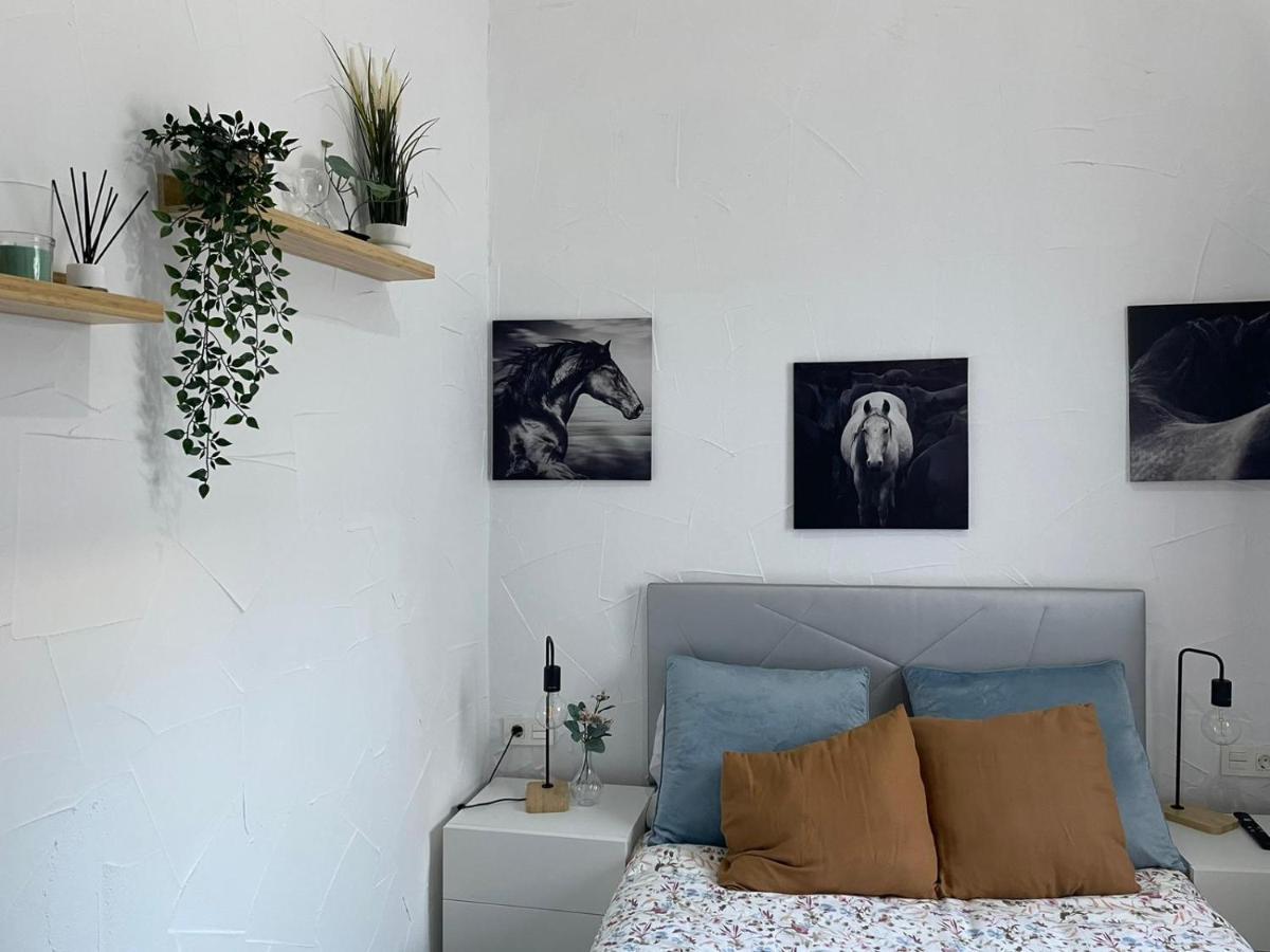 Apartament El Tablao Jerez de la Frontera Zewnętrze zdjęcie